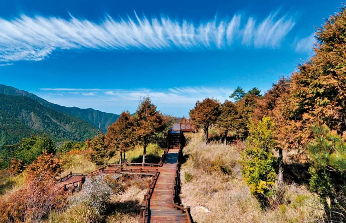 雪霸農場交通 雪霸農場交通