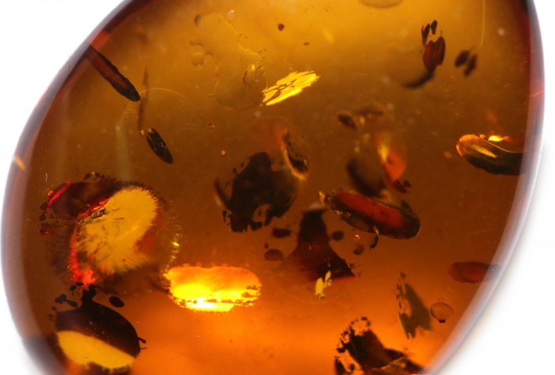 琥珀鑑定機構 琥珀鑑定機構