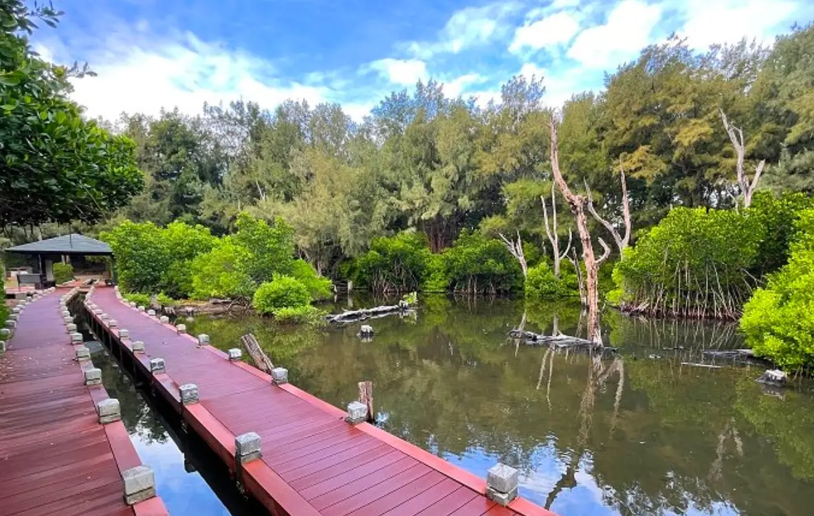 北門蘆竹溝夕陽 北門蘆竹溝夕陽