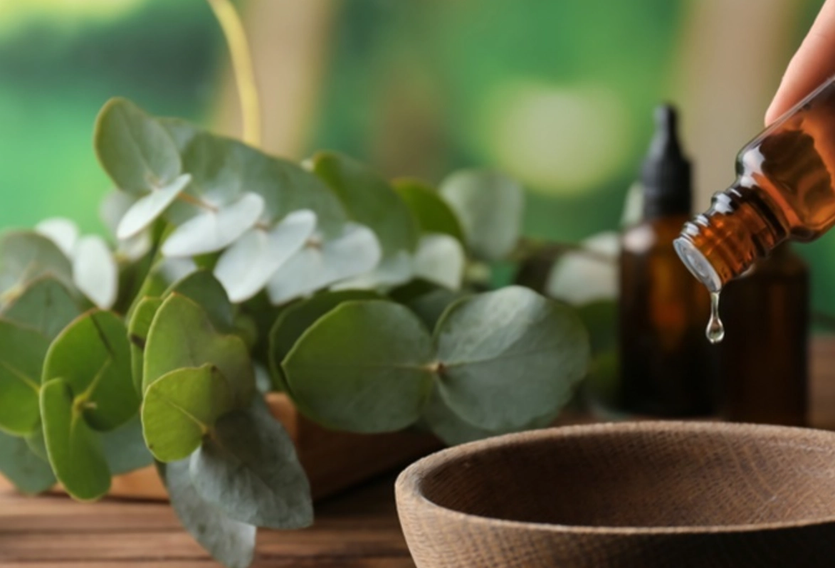 狗 精油中毒 症狀