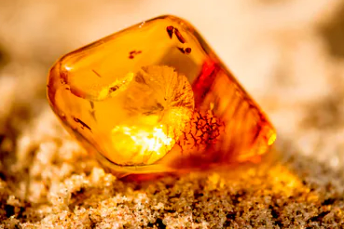 紫外線手電筒 紫外線手電筒