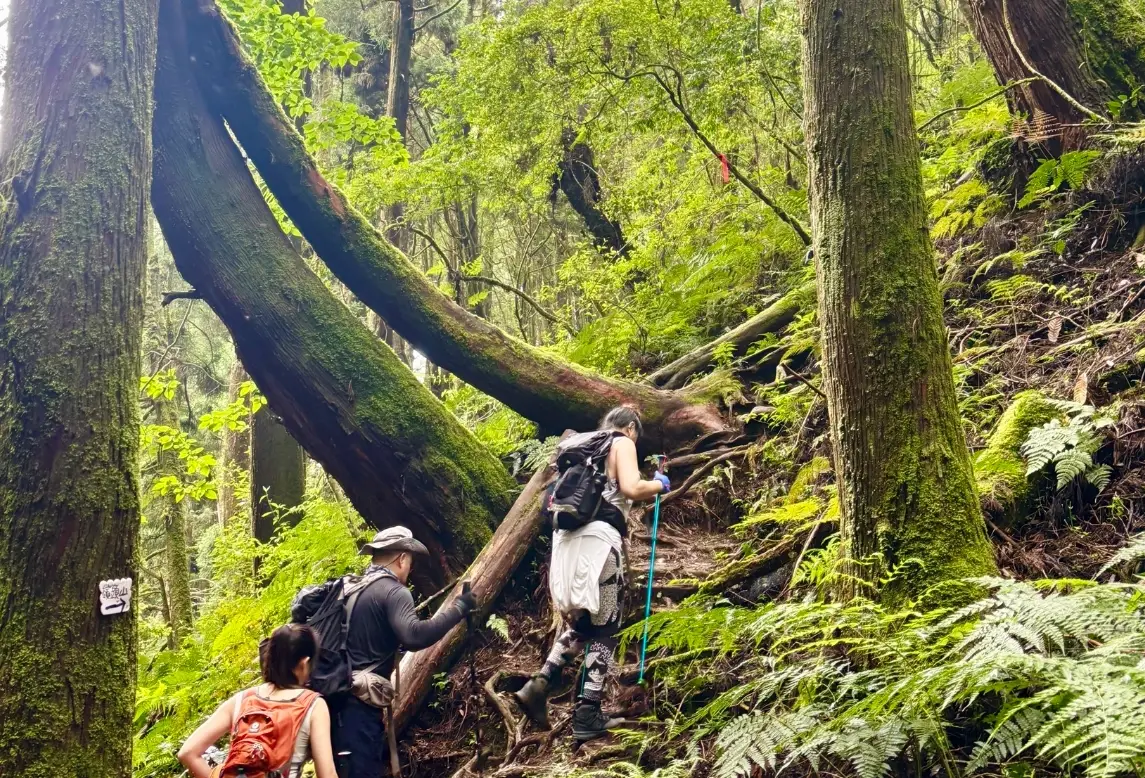 台灣山岳挑戰