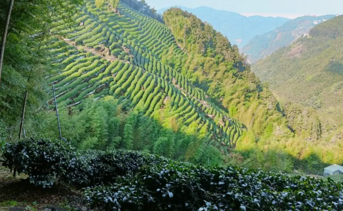 杉林溪森林遊樂區