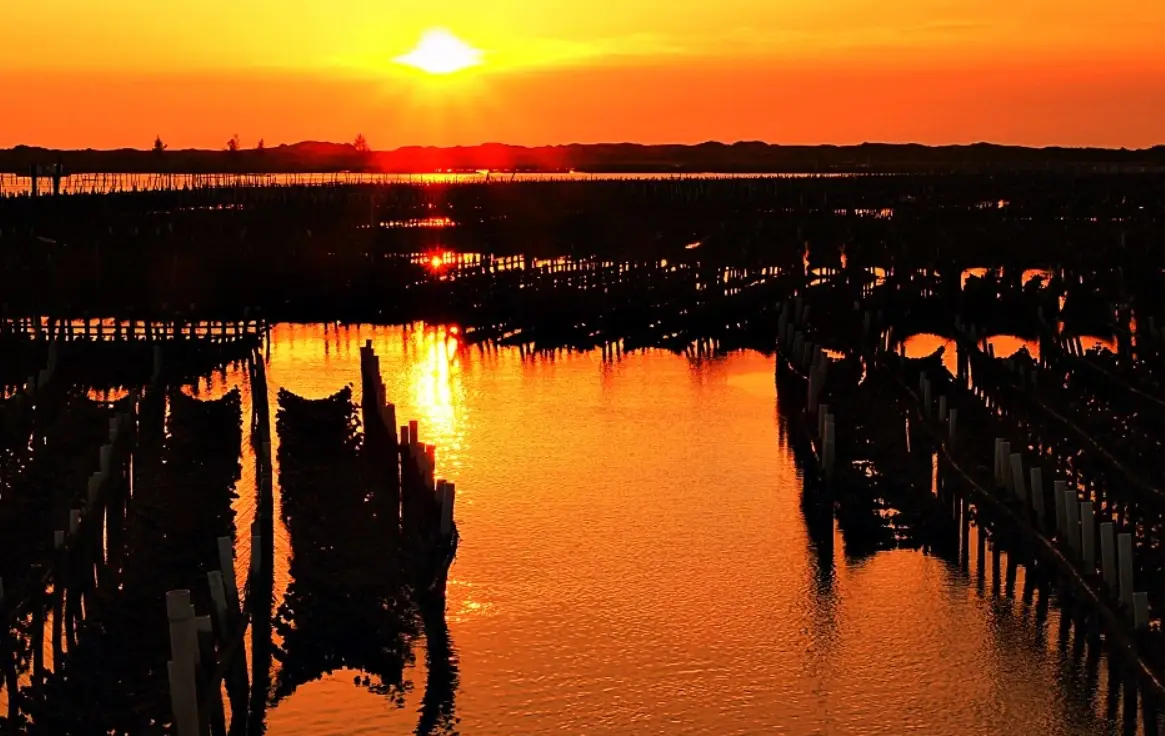 北門蘆竹溝交通