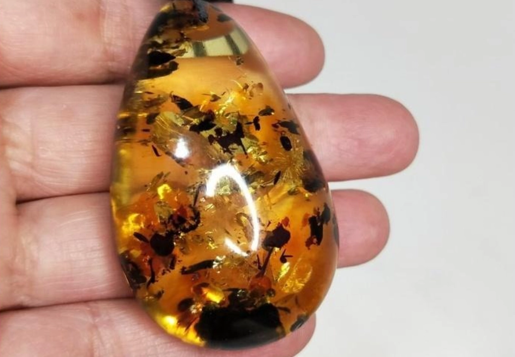 波羅的海琥珀 真假 波羅的海琥珀 真假