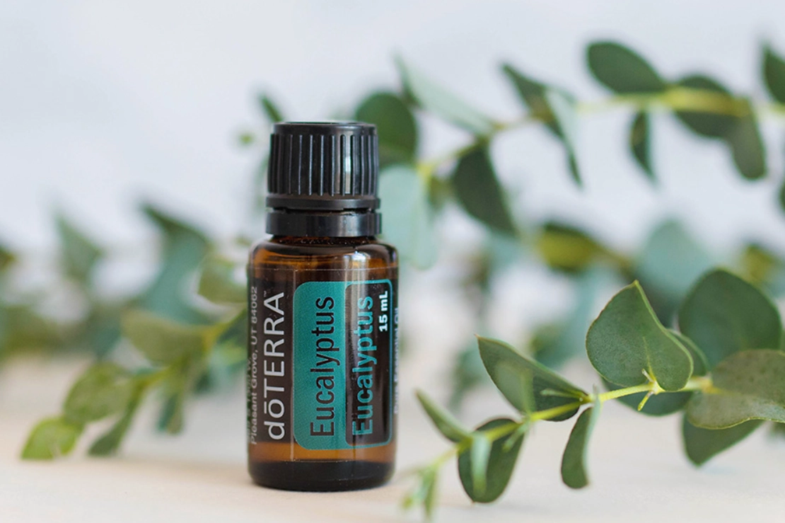 狗 精油中毒 症狀