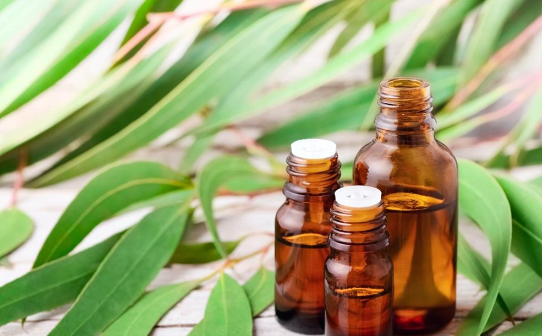 寵物精油安全使用