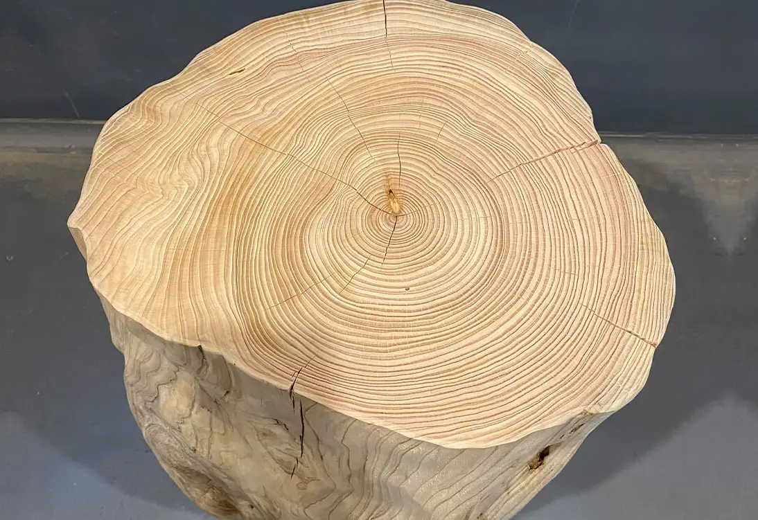 狗狗 檜木 中毒