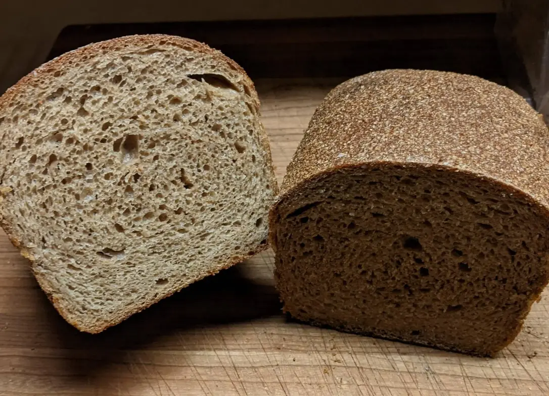 健康麵包機如何選購