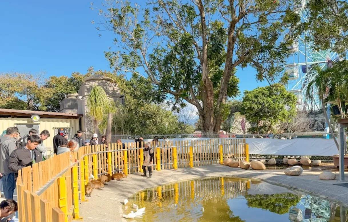 麗寶樂園農場 交通