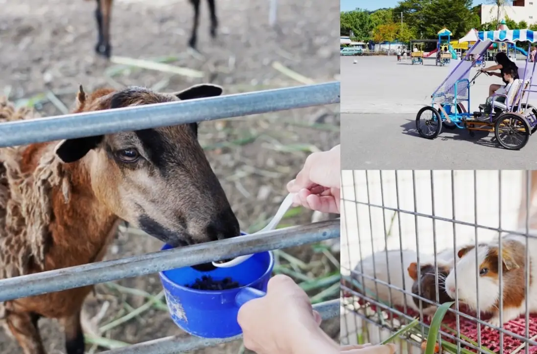 威爾森的農場 門票