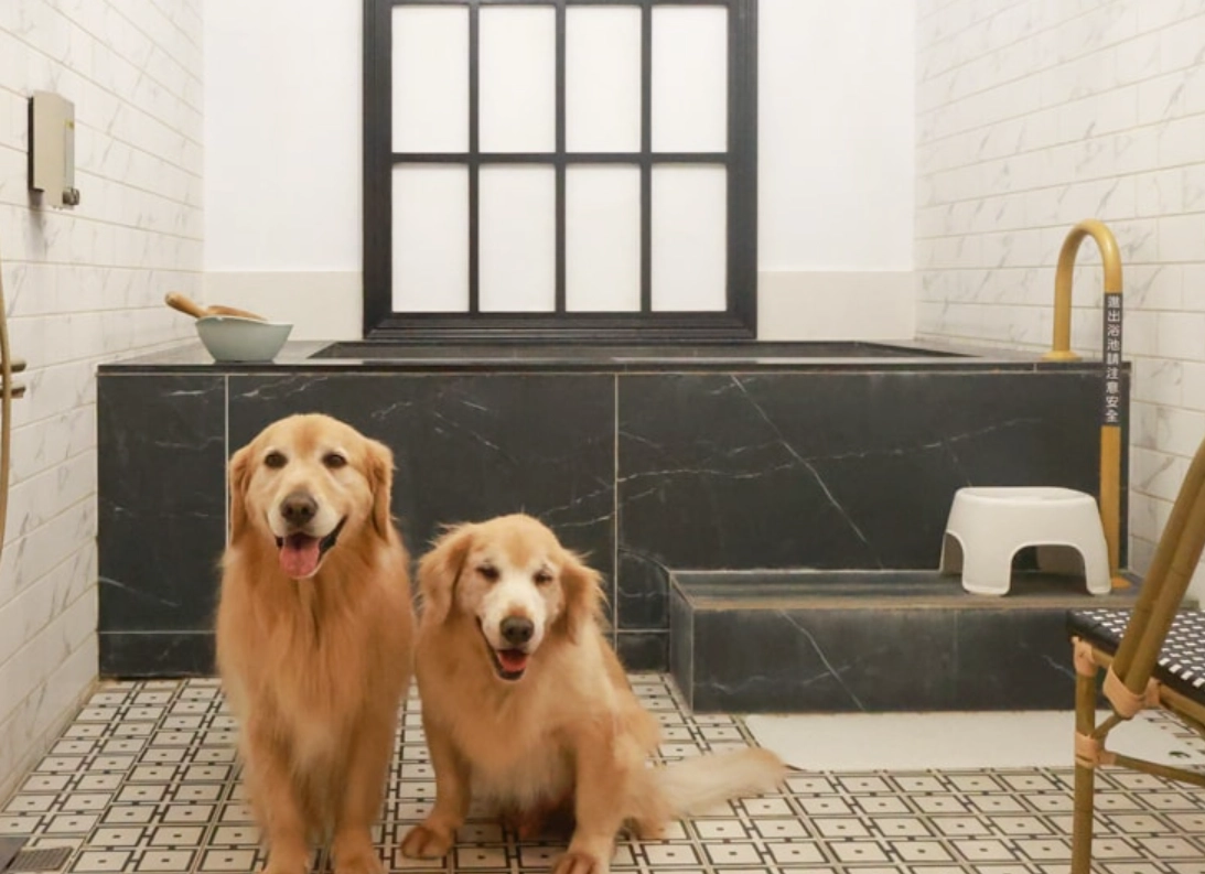 泡湯景點 泡湯景點