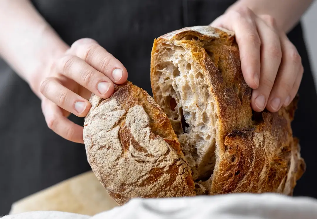 彰化全麥麵包推薦：在地人私藏店家與選購全攻略