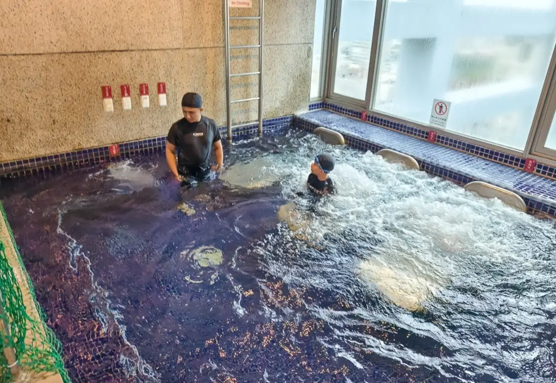 泳池度假飯店 泳池度假飯店