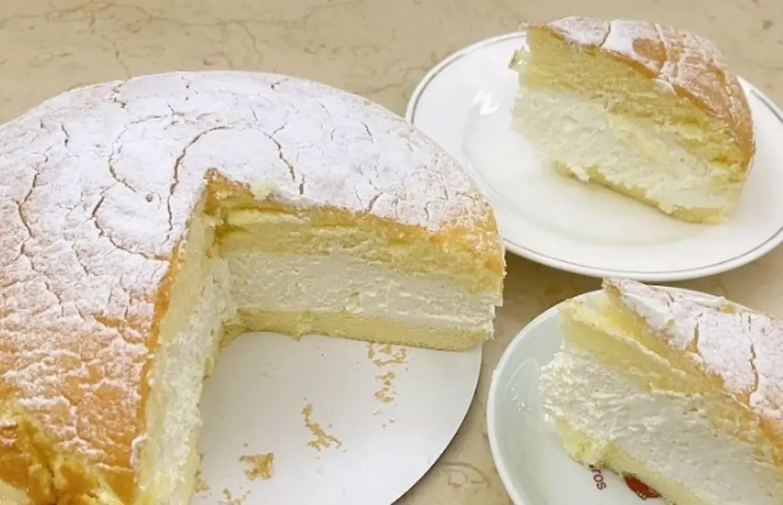 波士頓派推薦 波士頓派推薦