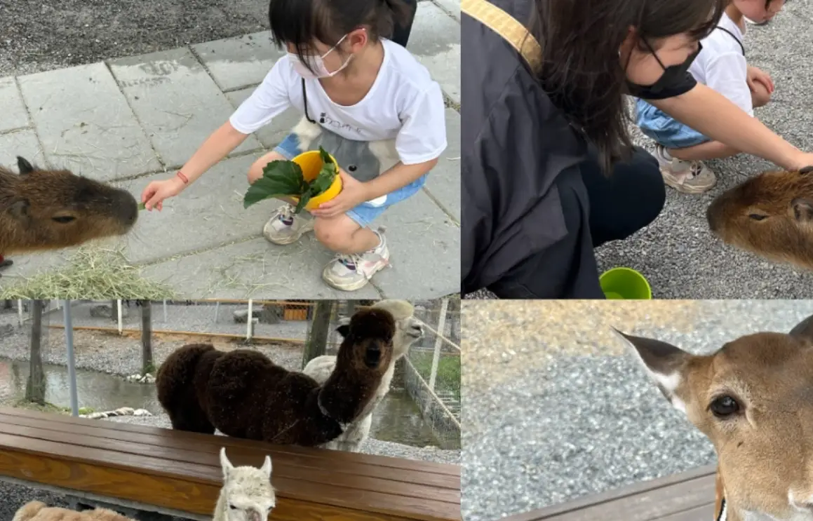 親子餵動物活動 親子餵動物活動