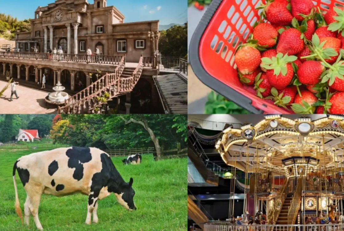 苗栗風景區推薦：山城秘境與海岸風光完整攻略