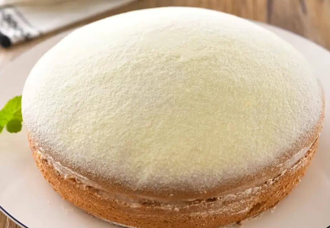 波士頓派專賣店攻略：從經典到創意，內行人的私房名單與挑選技巧