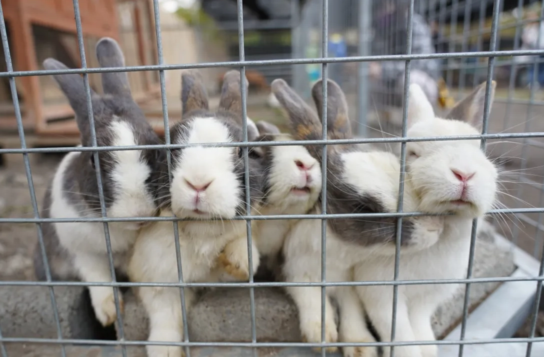 威爾森的農場 交通