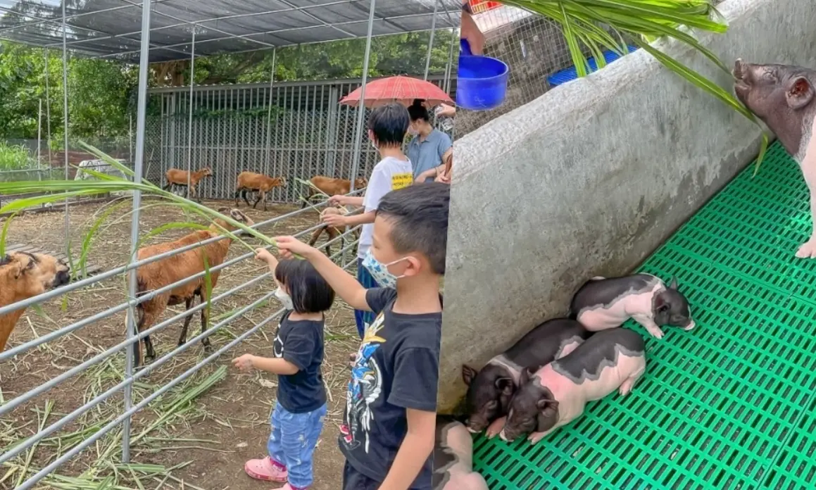 威爾森的農場 門票