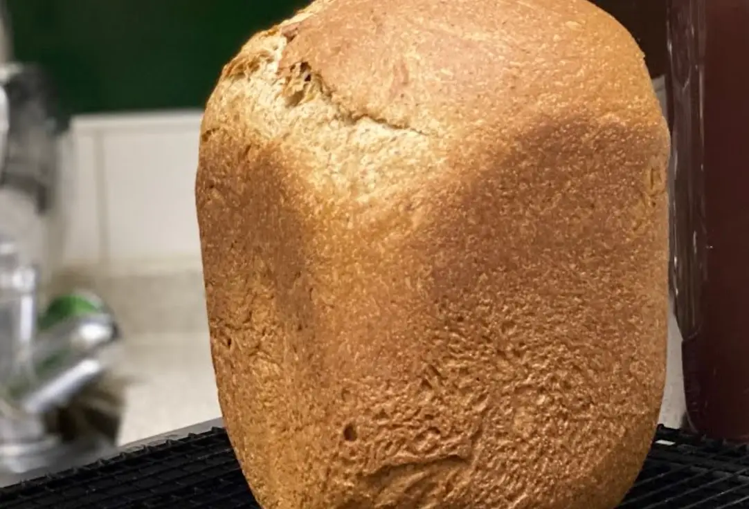 100全麥吐司麵包機選購與使用全攻略：健康早餐輕鬆自製