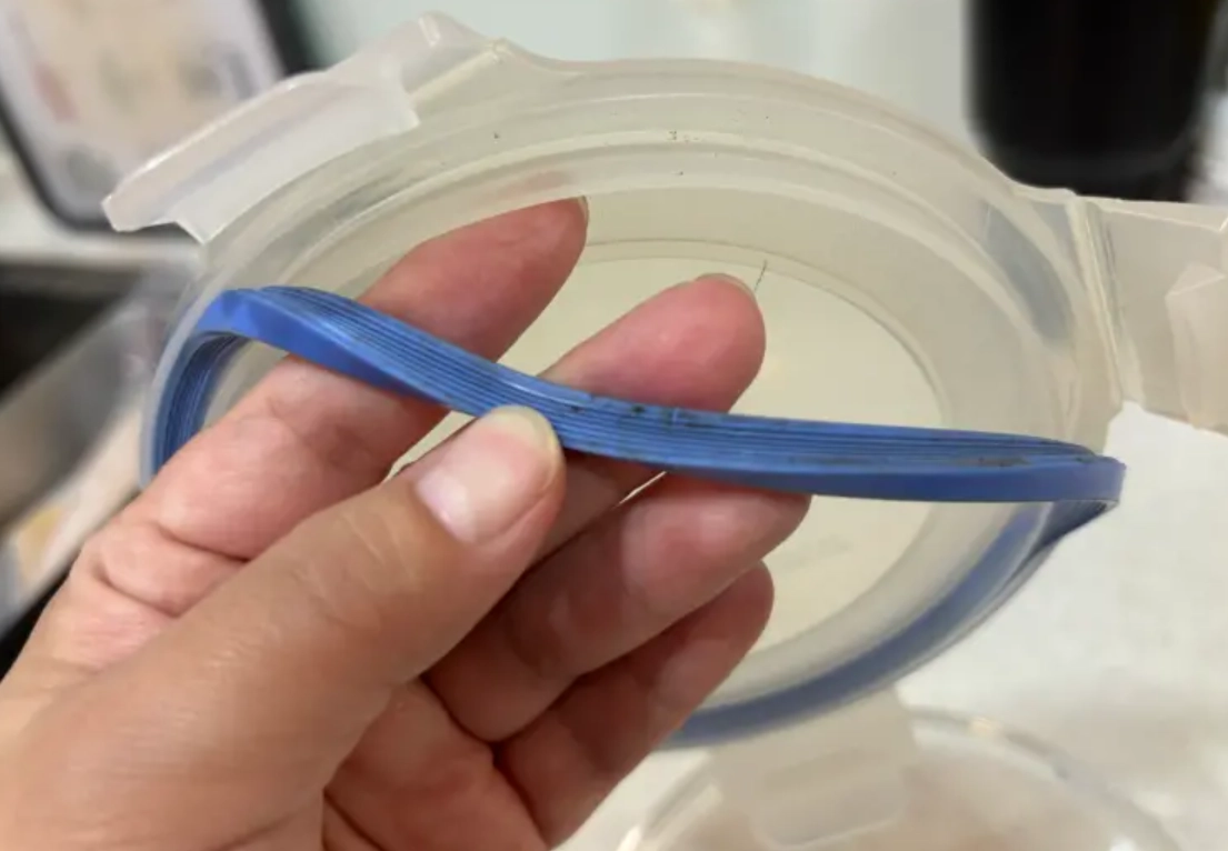 水壺矽膠發霉清潔全攻略：安全去除霉斑不傷材質