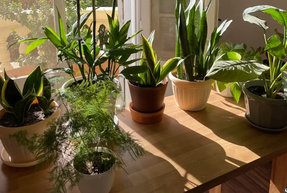 玻璃過濾紫外線