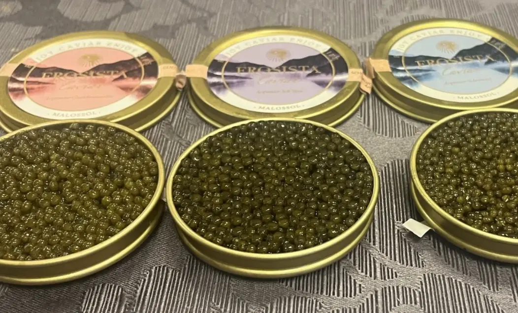 魚子醬選購指南