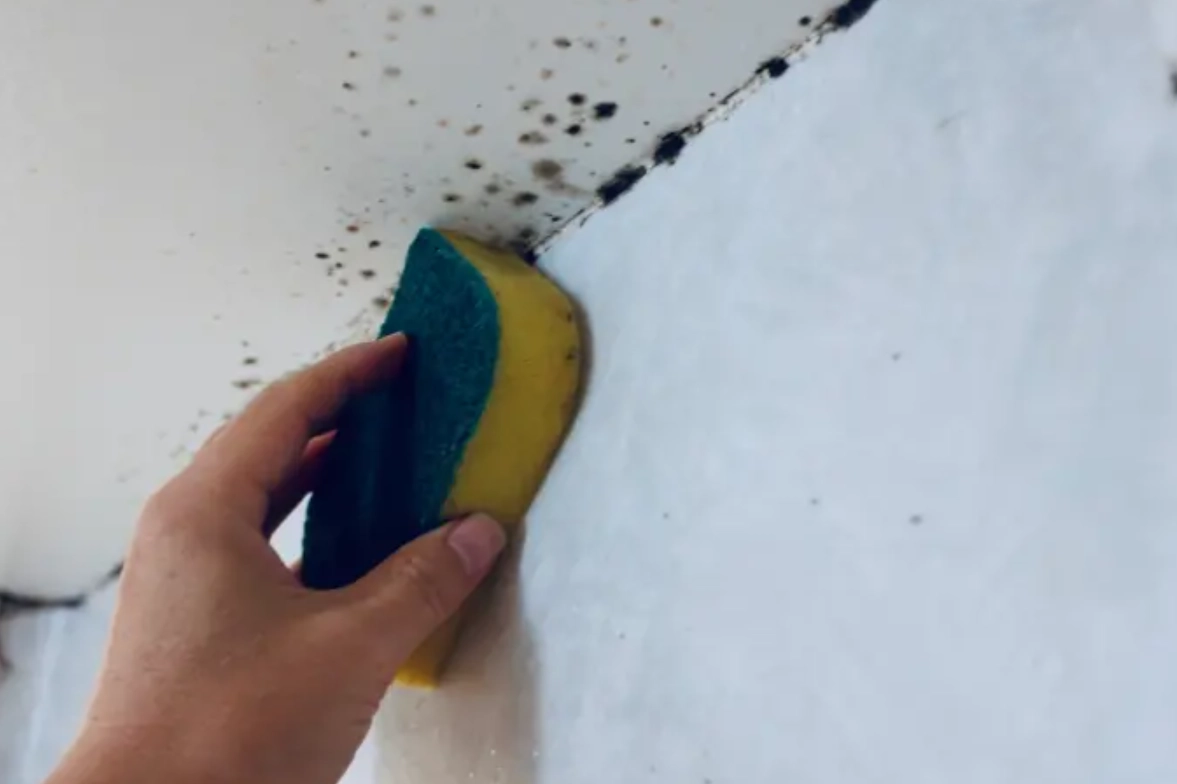 天花板發霉處理 天花板發霉處理