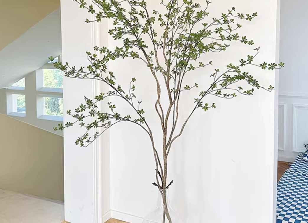 日本吊鐘病蟲害