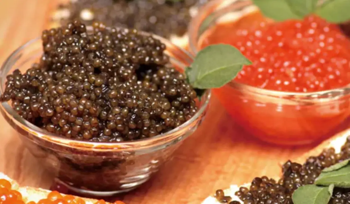 魚子醬選購指南