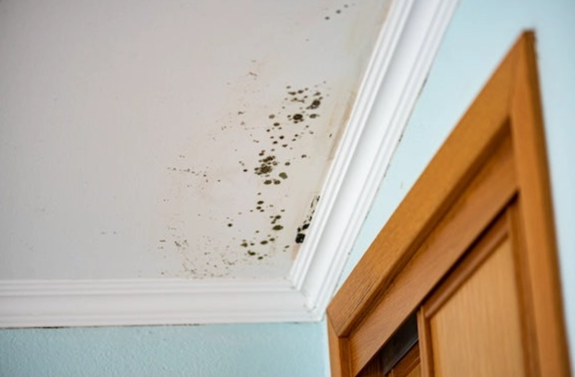 天花板防霉方法