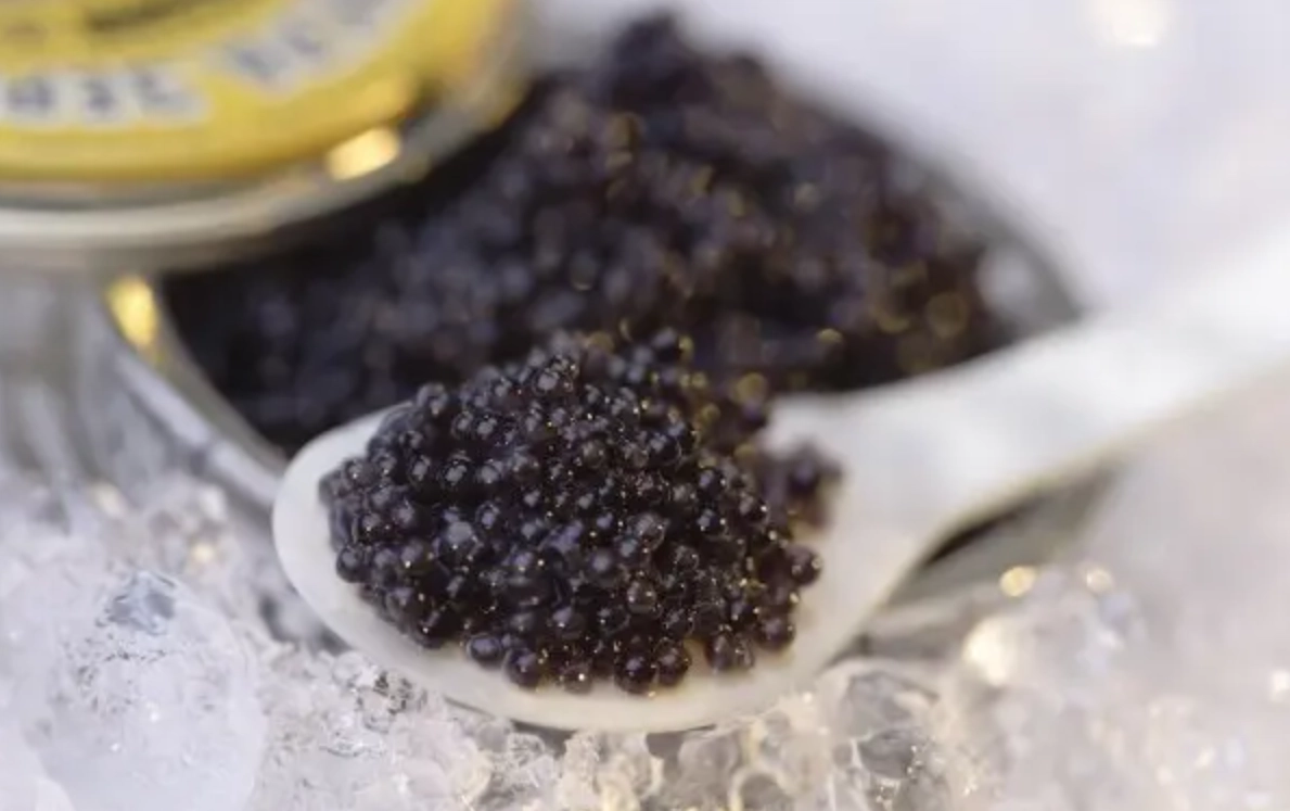 魚子醬等級終極指南：從分辨、選購到品嚐的完整解析