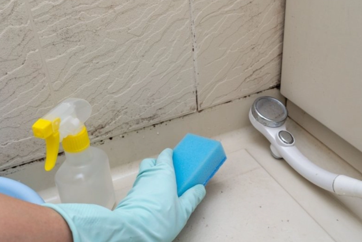 磁磚去污方法 磁磚去污方法