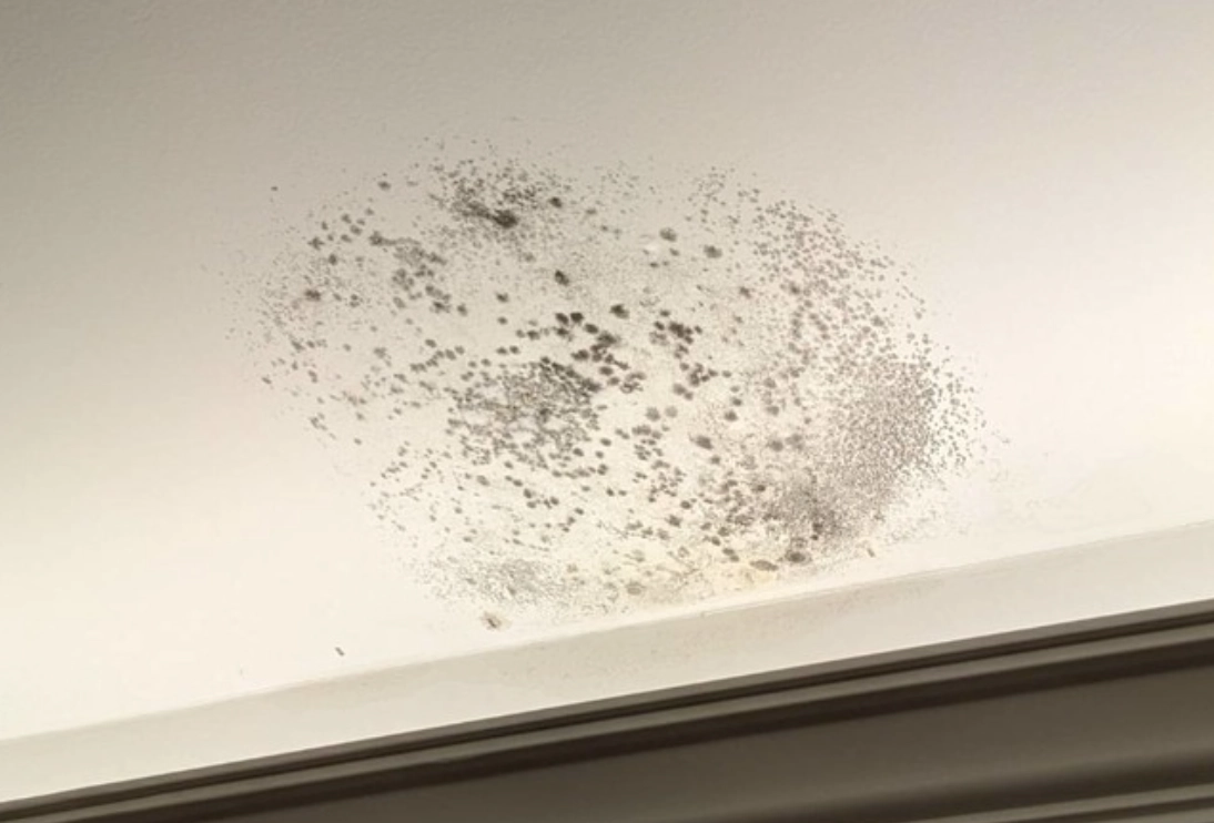 天花板防霉方法