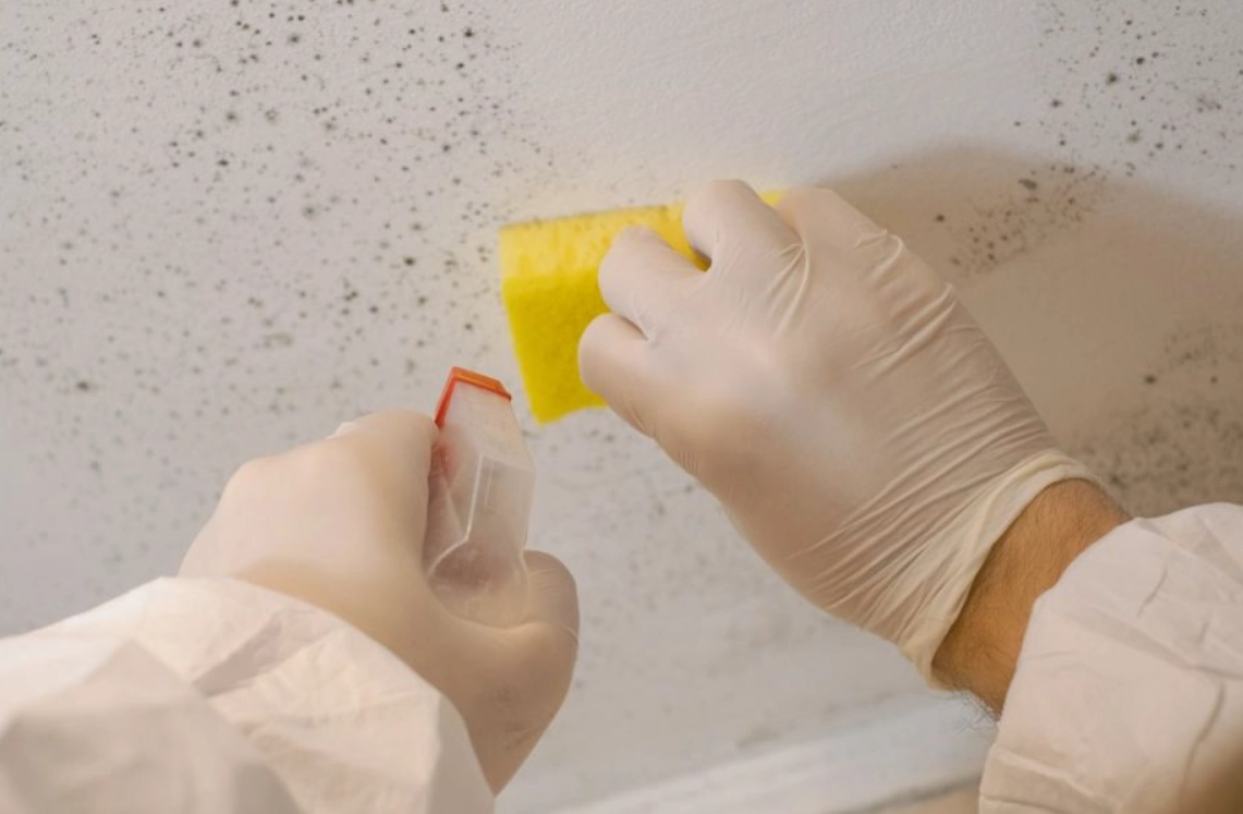 除霉漂白水終極指南：選購、安全使用到頑強霉斑清除全攻略