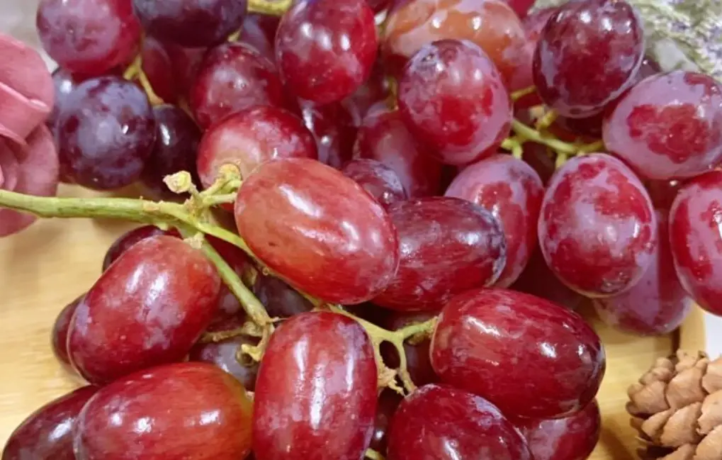 葡萄品種 葡萄品種