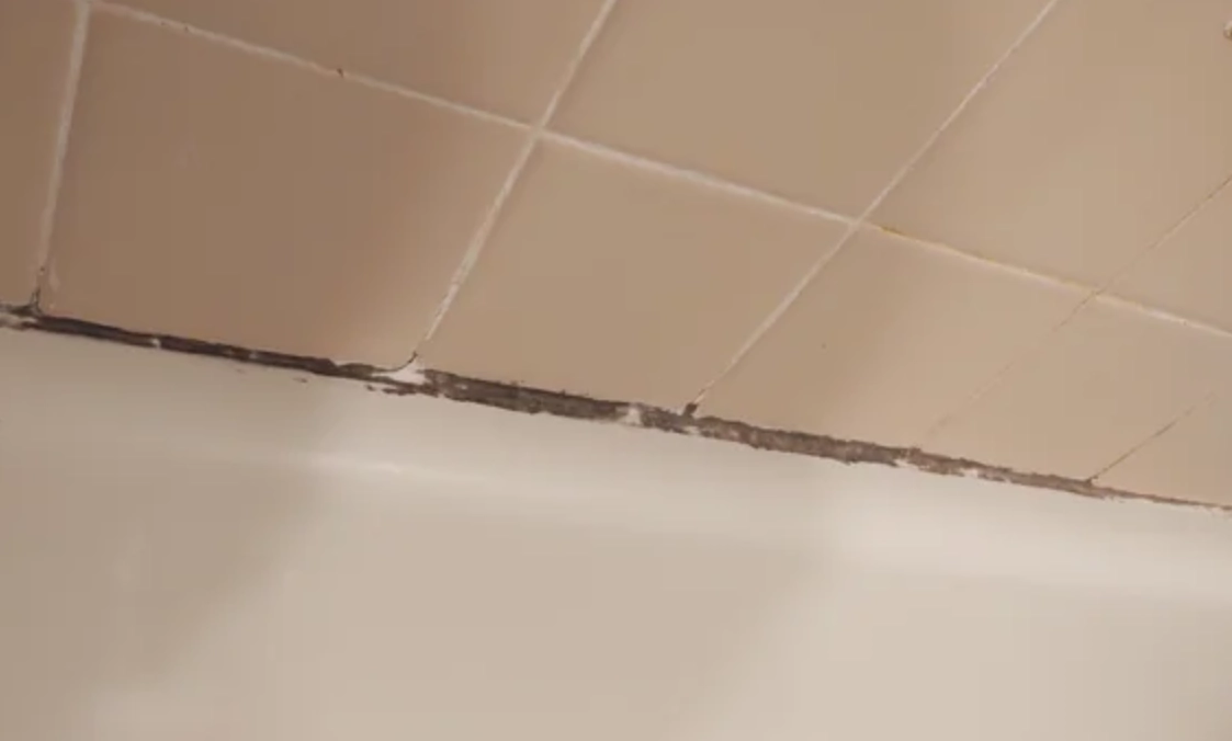 浴室矽利康清潔