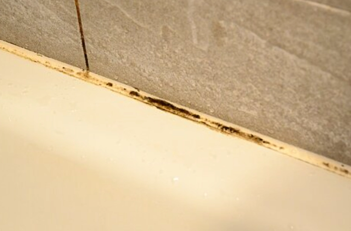 浴室矽利康清潔