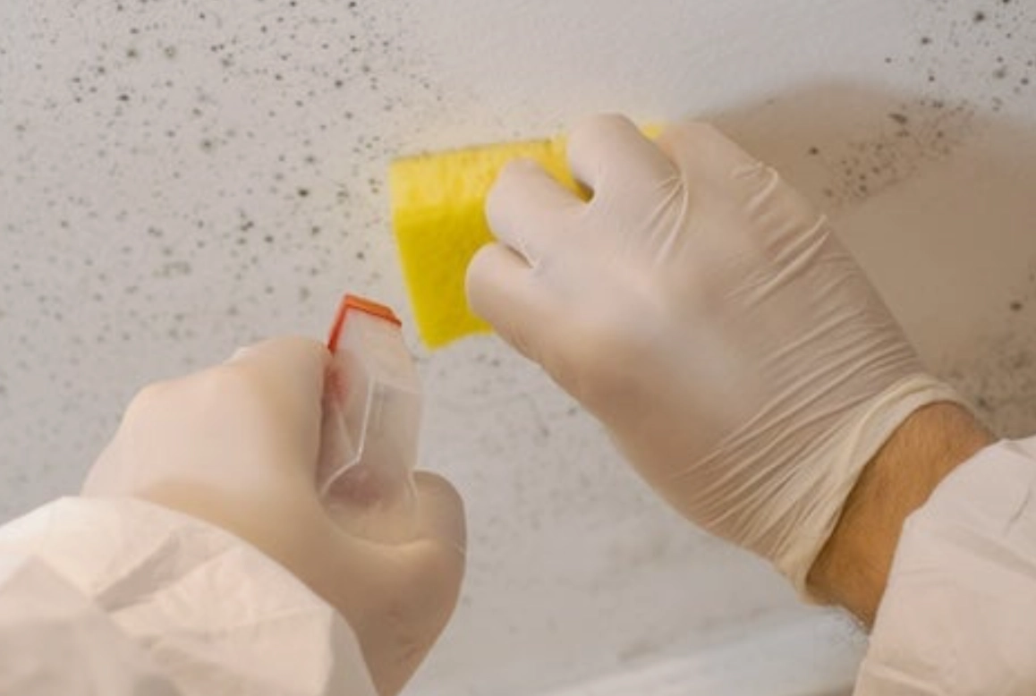 發霉清除方法 發霉清除方法