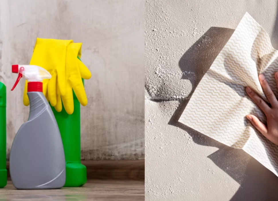 天花板發霉處理