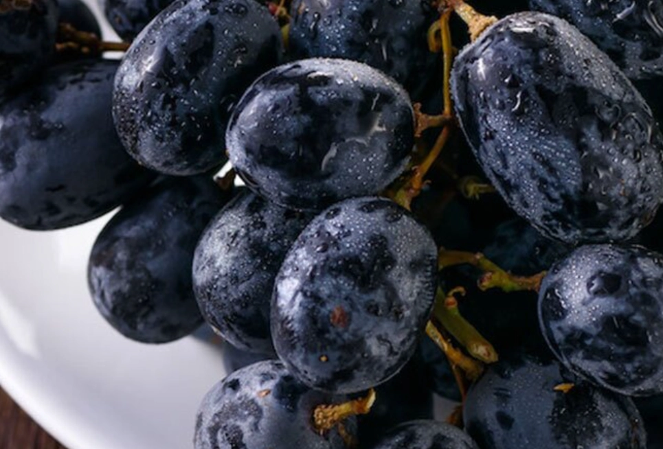 葡萄品種 葡萄品種