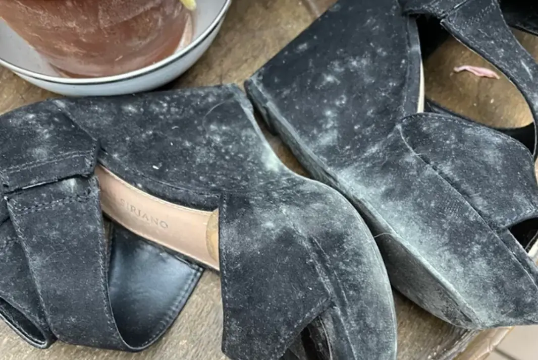 曬太陽除霉 曬太陽除霉