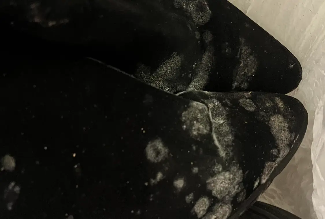 鞋子防霉方法 鞋子防霉方法