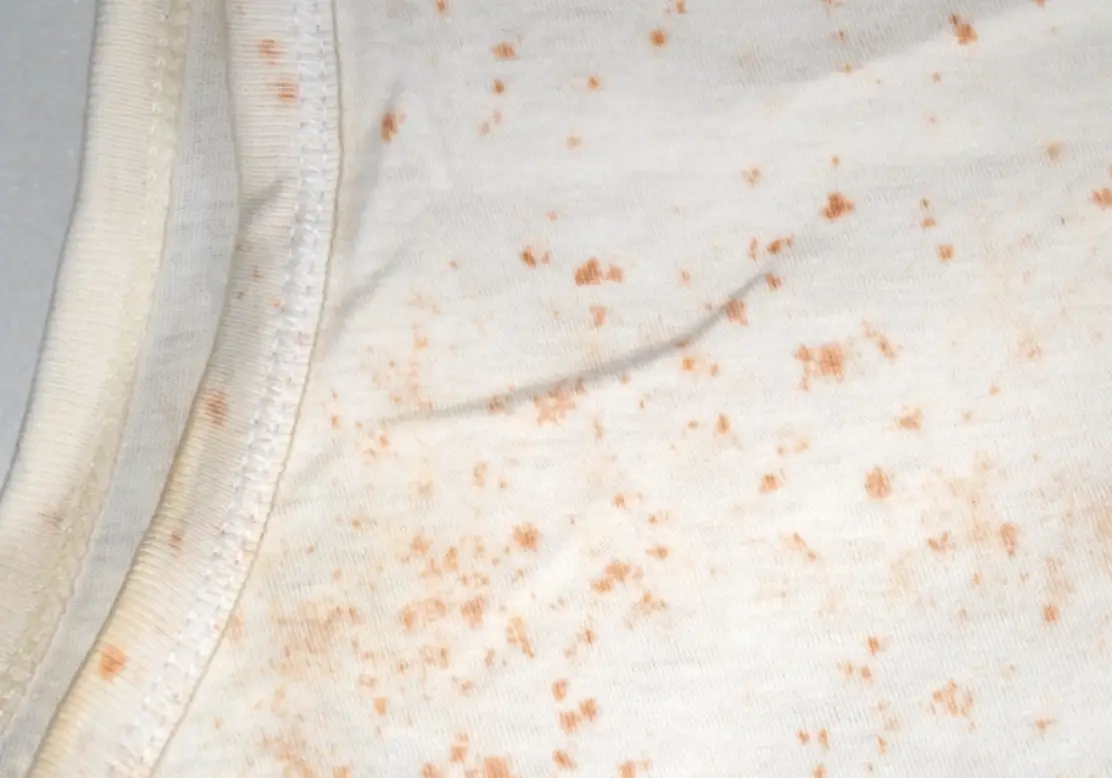 過碳酸鈉除衣服霉斑全攻略：安全漂白不傷衣的實測心得