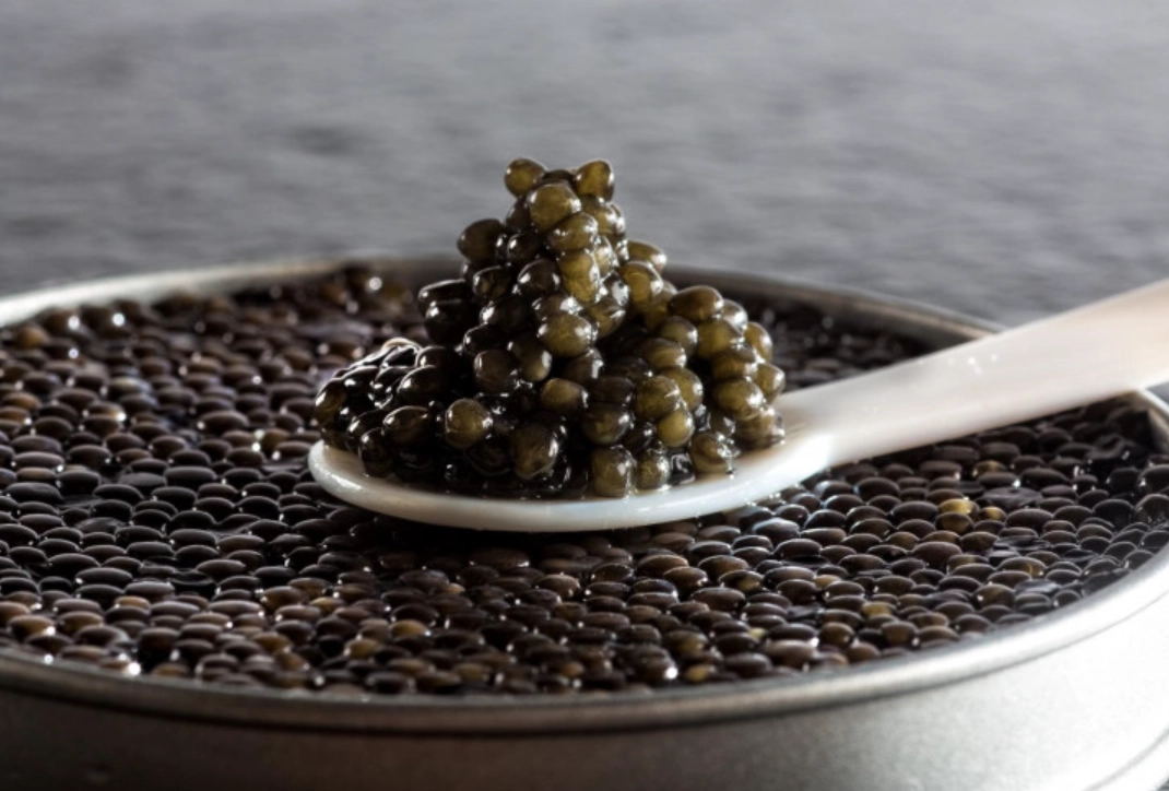 魚子醬壞處全解析：健康風險、環境衝擊與聰明選擇