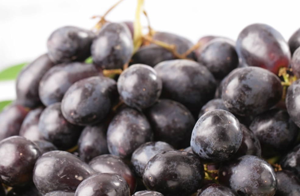 巨峰葡萄 巨峰葡萄