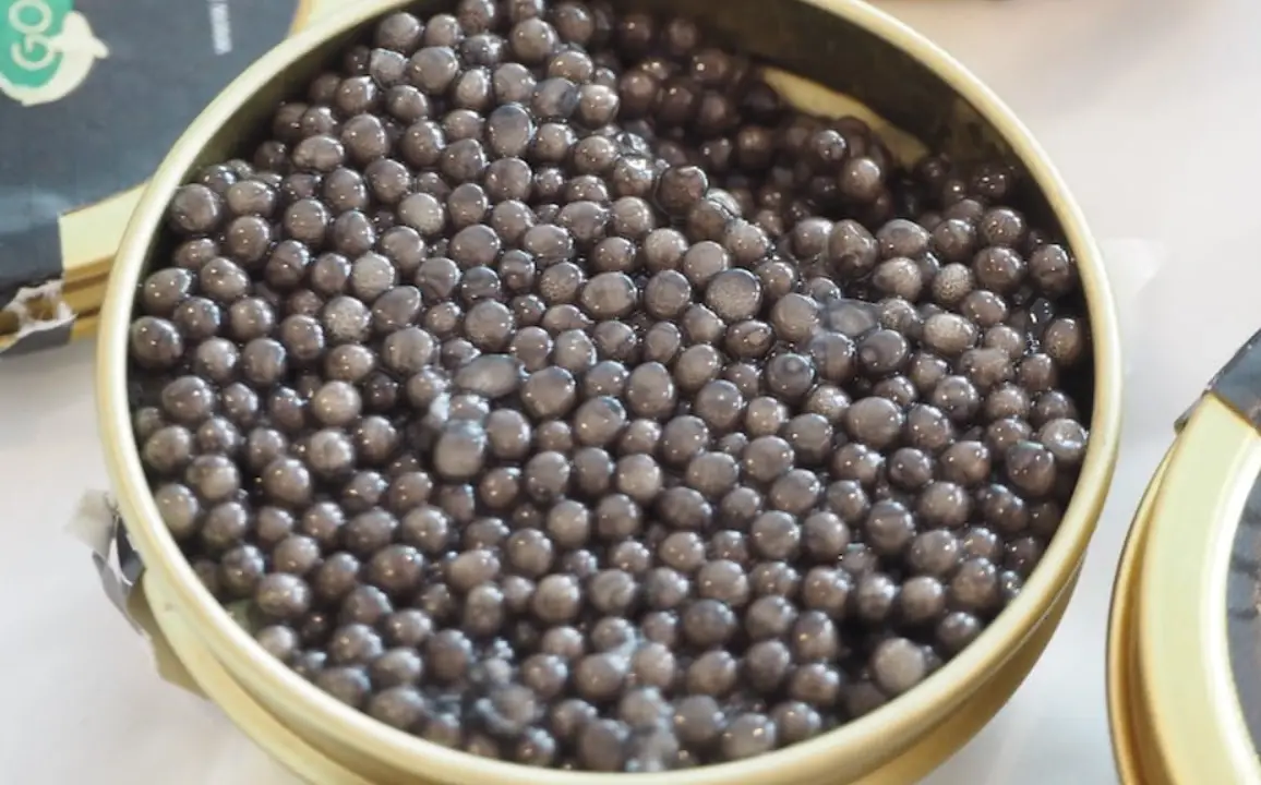 魚子醬等級區別