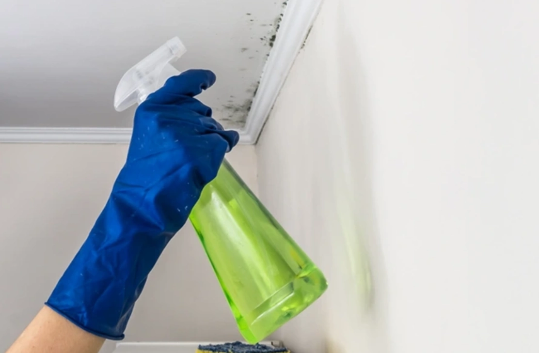 浴室天花板除霉