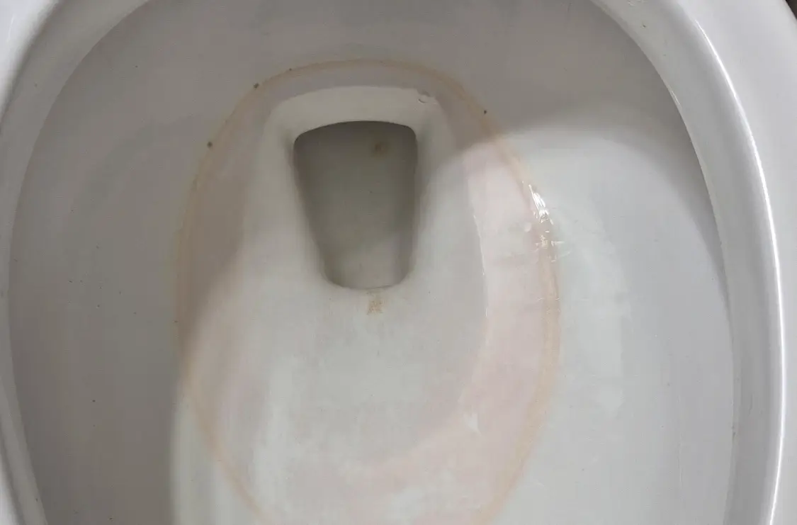 馬桶粉紅色水垢怎麼清？3分鐘看懂成因與根除清潔法